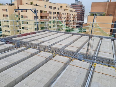 El Cañaveral