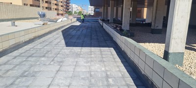 El Cañaveral